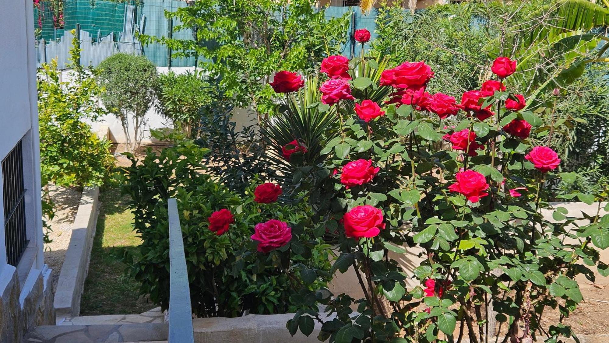 Altomira Villa Дения Екстериор снимка