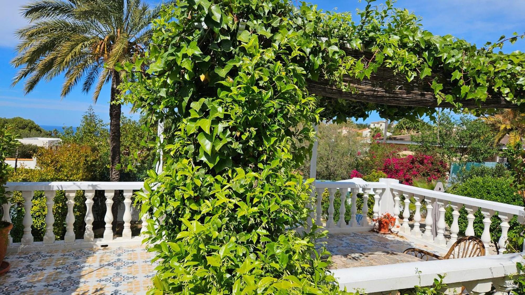 Altomira Villa Дения Екстериор снимка